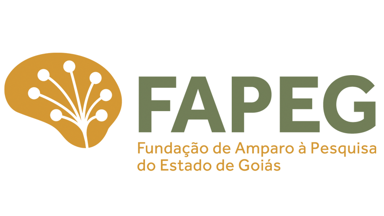 Imagem da publicação: Chamada Pública Fapeg Nº 06/2024 - Programa de Concessão de Bolsas de Formação EM Mestrado e...