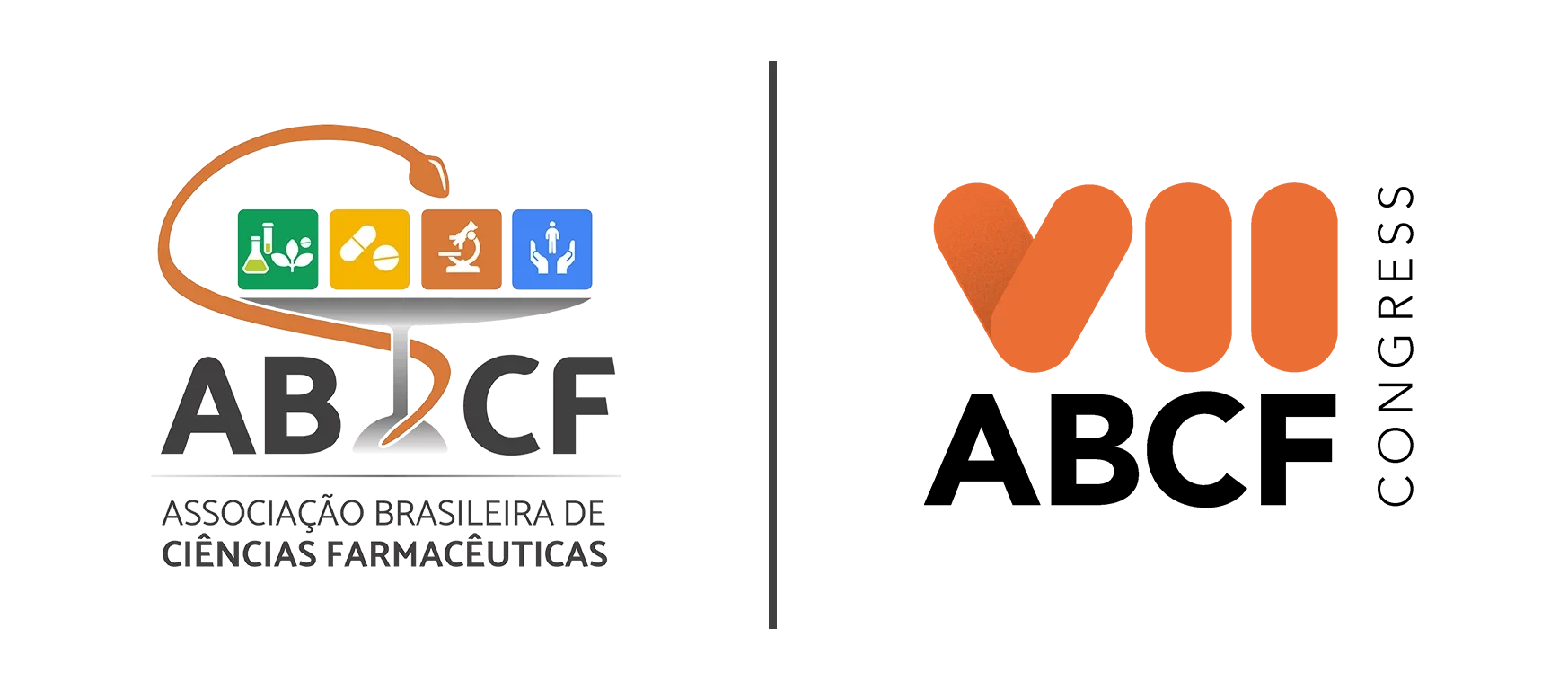 Imagem da publicação: VIII ABCF Congress